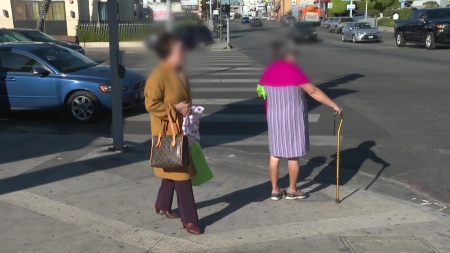 재외국민 4명 중 1명꼴 65세 ↑...고령화 속도 빨라