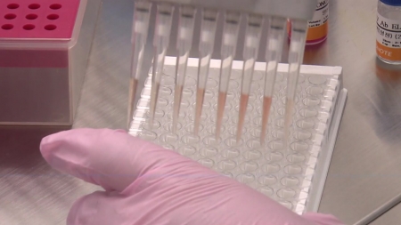 올해 동절기 첫 H5N1형 고병원성 AI 검출