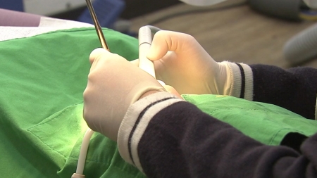 대한치과의협 "스케일링 연말까지 꼭 받으세요"