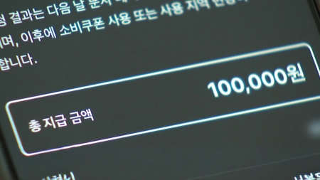 2차 소비쿠폰, 최종 97.5% 신청...4조 4,527억 원 지급