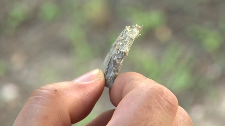[단독] 서울시, 청계천 석면 전면조사..."빠른 조치 필요"