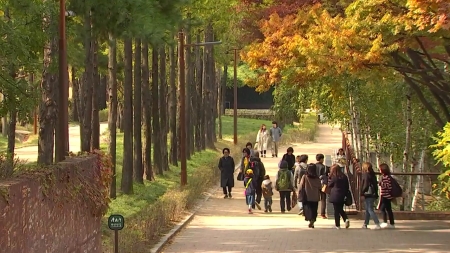 일교차 큰 늦가을 날씨 이어져…내일도 전국 맑음