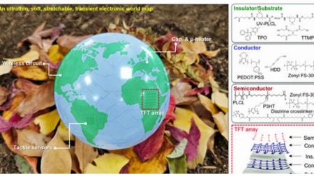 늘리거나 구부려도 안정적…자연 분해되는 친환경 전자기기 개발