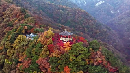 늦어지는 정읍 내장산 단풍..."다음 주 절정 예상"