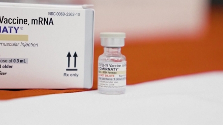 코로나 백신이 암 환자 생존율 높인다..."면역체계 활성화"