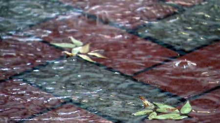 "달라진 장마"...기상학계, '장마' 개념 새로 세운다