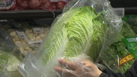 대형마트·슈퍼마켓, 김장 대전 돌입...배추 천 원 안팎