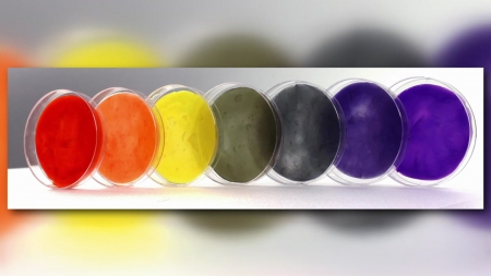 무지개색 박테리아 섬유, 화학적 염색 없이 한 번에 생산