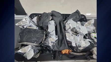 '클럽 마약' 적발 7배 급증...마약조직 표적 된 한국