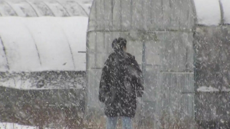 오늘부터 영하권, 밤부터 서해안 대설...내일 서울 체감 영하 10℃↓