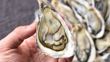 겨울철 노로바이러스 식중독 주의..."손 씻고 익혀 먹고"