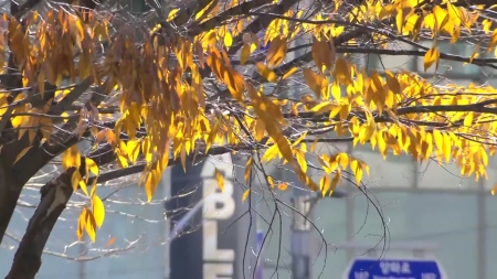 '두 얼굴의 가을'...전반 고온·잦은 비, 후반 건조