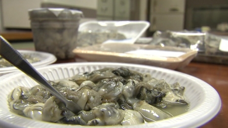 "겨울철 노로바이러스 주의...음식 익혀 먹어야"