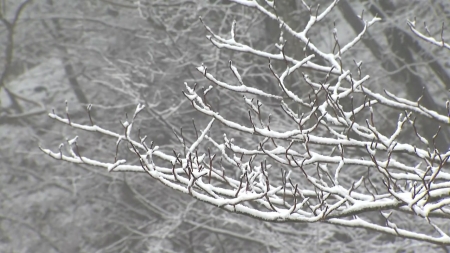 오늘 돌풍·벼락 동반 요란한 비...강원도 10cm 대설