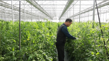 농업 한우물 판 5명 '명인' 선정...평균 영농 경력 35.8년