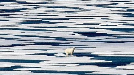 "북극 기온 관측 사상 최고...강수량도 역대 최고"