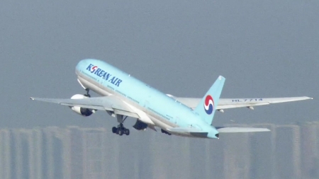 활주로 주변시설 부러지기 쉽게...매년 공항별 조류충돌위험 분석