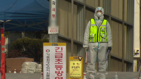 경기도 평택 산란계 농장에 고병원성 AI..."감염력 10배 강해"