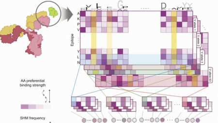 AI로 암세포 표적 예측…개인맞춤형 항암백신 기술 개발