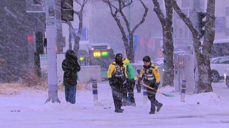 '미끄러지고 부러지고'...제주, 폭설·강풍에 몸살