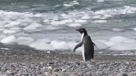 기후 약속 실패 '2℃ 온난화 시대'로...기후 재난 '비상'
