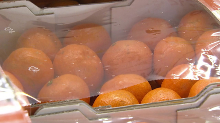 ’귤·고등어·돼지고기’ 먹거리 물가 급등...정부 "생활물가 안정에 총력"