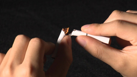 건강보험공단 "흡연이 폐암 발생 위험요인의 81.8% 차지"