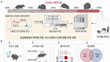 AI로 쥐의 일상행동 분석해 우울증 분석 기술 개발