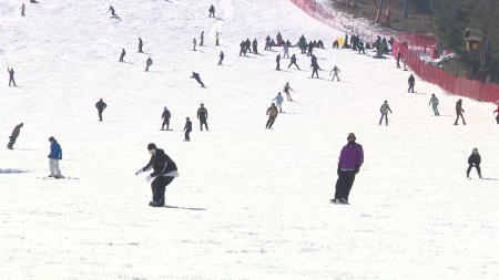 생존 위기 스키장...’전기요금·국공유림 대부료’ 대책 요구