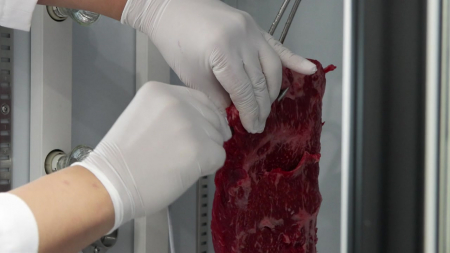 "3주 숙성을 단 이틀 만에"...적외선이 만든 '마법의 소고기'