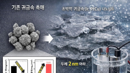 종이처럼 펼쳐 성능 높인 수소·연료전지용 촉매 개발