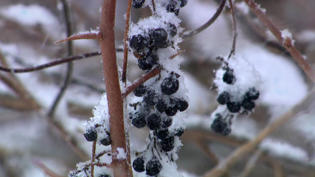 주말까지 영하 10도 강추위…오늘 밤부터 서울 눈 