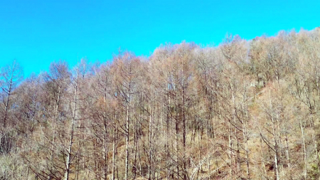 길어지는 추위…동쪽 대기 건조 '산불 비상'