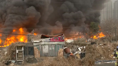 추위 속 1월 산불 예년보다 증가 ’영남 또 빨간불’...서울도 비상