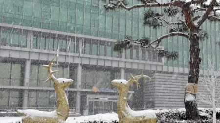 밤사이 중부 많은 눈…강원도 철원 17.3㎝