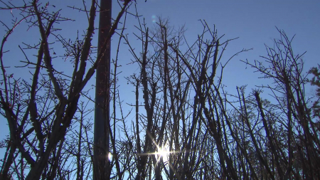 평년 날씨 속 동해안 '바짝'...산불 위험 여전히 커
