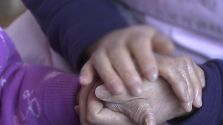 올해 노인 일자리, 지난해보다 5%↑...역대 최대