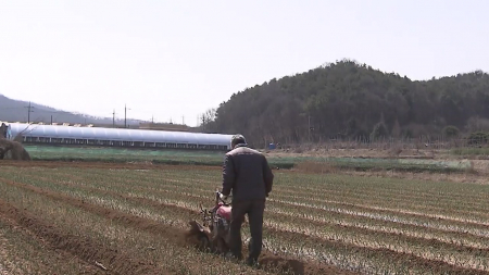 논콩 '깊이거름'·'바이오차'로 수량 21%↑