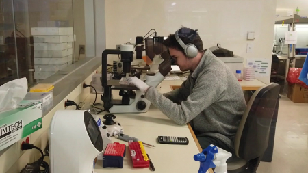 국내 연구 환경 어떻길래?..."경직된 연구비·일관성 없는 정책"