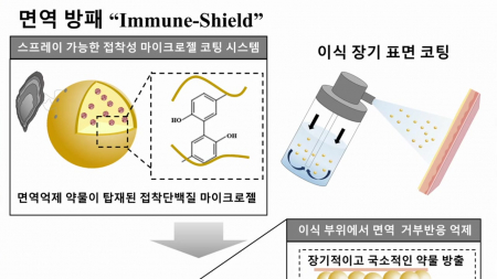 이식 장기에만 약물 전달…면역 거부반응 억제 기술 개발