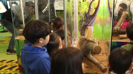 국립과천과학관, '어린이 생태 탐사대' 운영