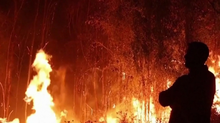 기후변화 탓 '산불 위험한 날' 45년 새 3배 증가