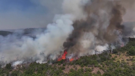 남반구 습격한 ‘기후 재앙'...기록적 폭염에 산불 비상