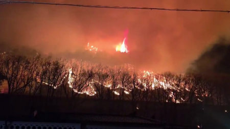 산속에서 춥다며 불 피워 산불로...정부 "무관용 원칙"