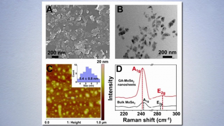 스마트폰·열화상 카메라로 감염 여부 빠르게 확인하는 기술 개발