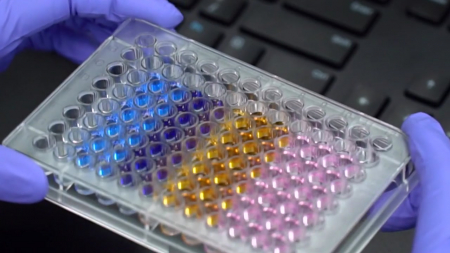 신약 개발 성공 확률 1% 미만…AI로 돌파구 찾는다!