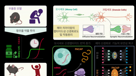 [사이다] ② 우울증 약 효과가 늦는 이유?
