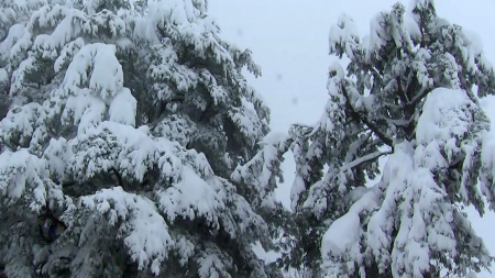 정월대보름, 큰 일교차 주의…강원 산간 대설 계속