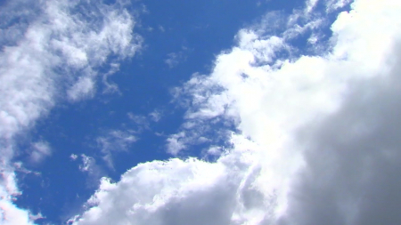 "올여름, 라니냐·엘니뇨 없는 '중립 상태' 유지 가능성 커"