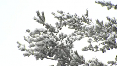겨울 강수 2년째 '반토막'...1월 역대 두 번째 건조